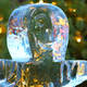Illustration for article titled A Most Festive Foto Gallery